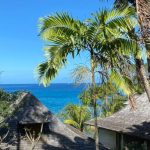 Seychelles Resort - Palm Trees Near Brown Wooden House Under Blue Sky