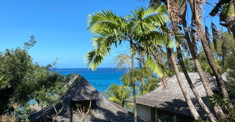 Seychelles Resort - Palm Trees Near Brown Wooden House Under Blue Sky