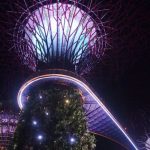 Singapore Gardens - Illuminated Supertree Grove in Singapore