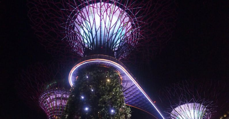 Singapore Gardens - Illuminated Supertree Grove in Singapore