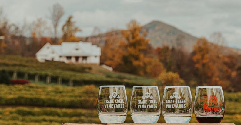 Georgia Wine - Crystal glasses of wine placed on wooden table near vineyards located in mountainous countryside against cloudy sky on autumn day