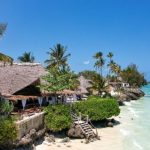 Zanzibar Beach - Aya Beach Resort, Kizimkazi, Zanzibar, Tanzania
